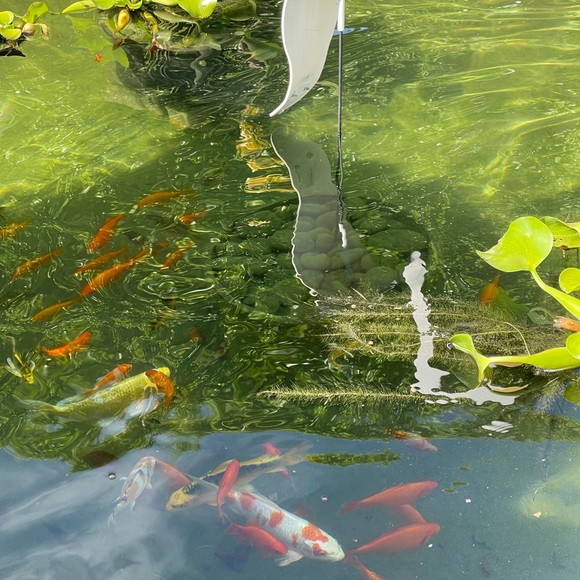 Meet your Posher, Bobbi - Picture 5 of 8